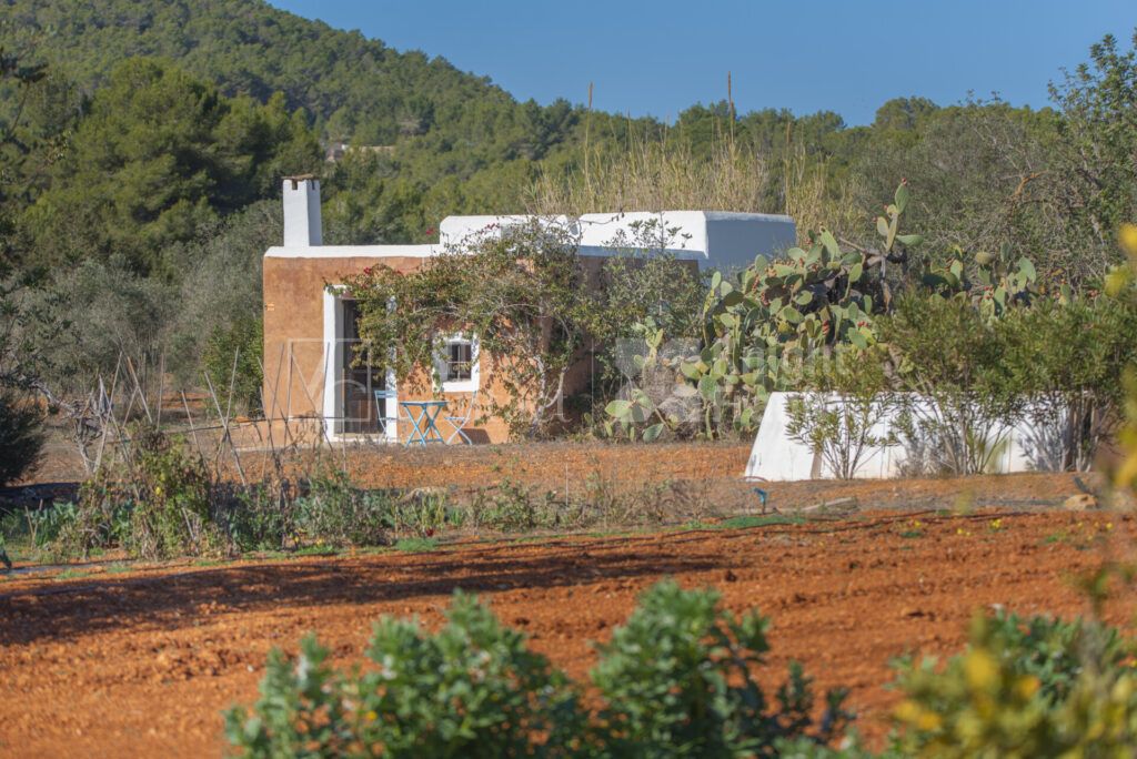 Finca Mateu